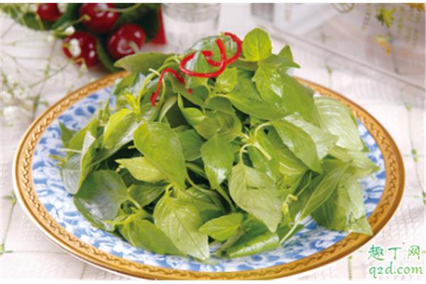 孕妇可以吃防风吗?孕妇可以吃荆芥吗?