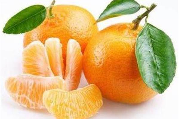 长痘可以吃橘子吗