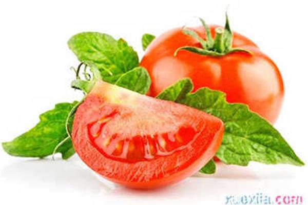 早孕妇女可以吃西红柿吗?孕早期可以吃西红柿吗?