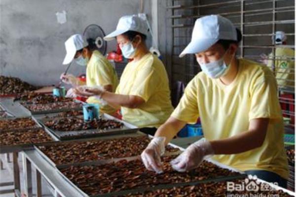 怀孕可以吃槟榔吗?女性长期吸烟意外怀孕怎么办?