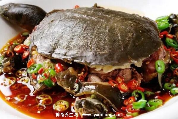 吃甲鱼千万要注意七大禁忌，这七种人不能吃甲鱼(有碍健康)